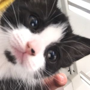 Meet your Posher, Sandra